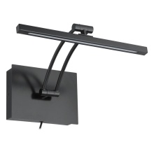 Eglo 202067A - Doreen 2 - LED Picture Light