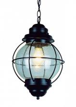 Trans Globe 69903 BK - 1 LT MED HANGING-OUTDOOR-ONION